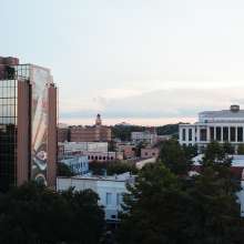 Downtown Landscape