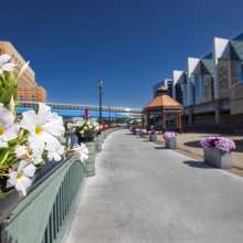 White flowers lining the Lansing River Trail with the Lansing Center and the Skywalk