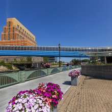Bright flowers line the Lansing River Trail with tall buildings and the skybridge towering overhead under bright blue skies