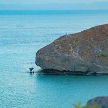 Hongo-Playa-Balandra-FITUPAZ-1