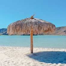 Palapa-Playa-Balandra-FITUPAZ