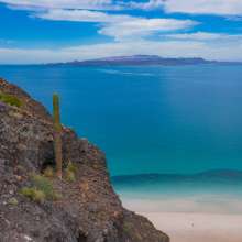 Playa-El-Tecolote