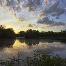 Washington Park - Sunset