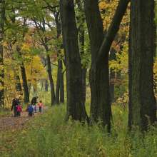 Riverside Park - Hiking