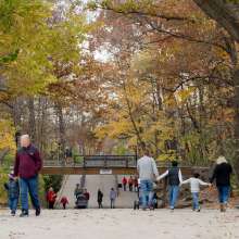 JenniferBirneyPhotography63.jpg