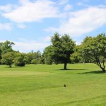 Lake Park - Golf