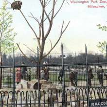 Washington Park Postcard - Raccoon Zoo