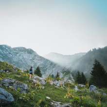 rocky mountain trail