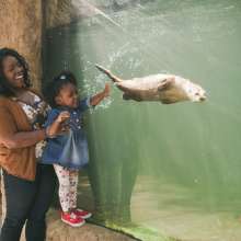 The Virginia Living Museum