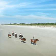 Inlet point horses still010 v lo res 450