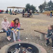 Homestead Pumpkin Patch