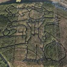 Homestead Pumpkin Patch Corn Maze 2024