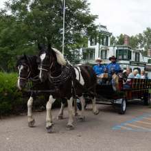 Group Tour at Buffalo Bill State Historical Park