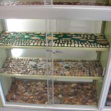 Stones & Bones Gallery