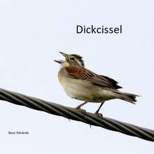 Dickcissel Wild Horse Canyon Scenic Drive