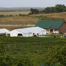 Feather River Vineyard