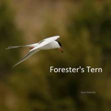 Foresters Tern Sandhills Scenic Drive