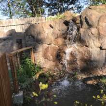 Crystal Cave & Falls Adventure Mini Golf (From Dixie)