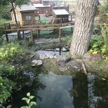 Crystal Cave & Falls Adventure Mini Golf (From Dixie)