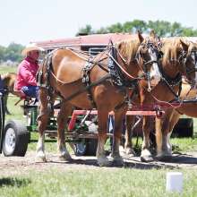 Heritage Festival