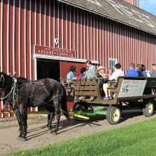 Horse-Drawn Wagon Ride