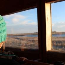 Sandhill Crane Blind Tour with Dusty Trails