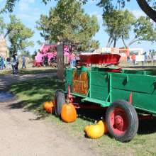 Dusty's Pumpkin Fest at the Cody's