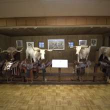 Lincoln County Historical Museum