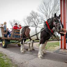 Horse-Drawn Wagon Ride
