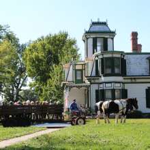 Horse-Drawn Wagon Ride