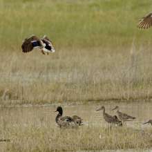 Willets Challenging Sandhills Scenic Drive