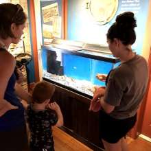 Museum_Program_2