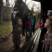 Omaha's Henry Doorly Zoo & Aquarium