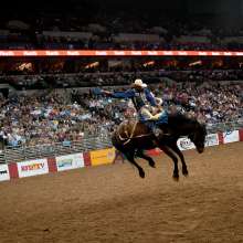 River City Rodeo