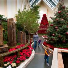 Lauritzen Garden's Poinsettia Show