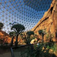 Omaha's Henry Doorly Zoo - Indoor Rainforest