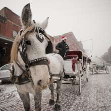 Carriage Ride in the Old Market