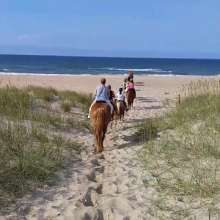 OBX Daydream | Horseback Excursion
