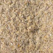 OBX Daydream | Fall Beach Day