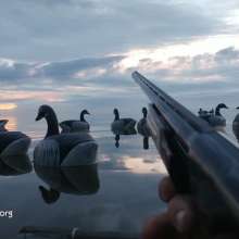 OBX Daydream | Duck Hunting in Buxton