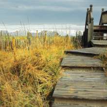 Beach Access