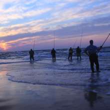 Surf Fishing