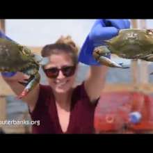 OBX Daydream | Catch Me If You Can