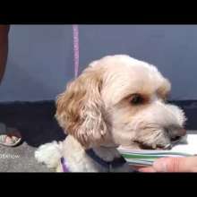 OBX Daydream | Lunchbreak with Fresh Seafood