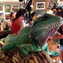 OBX Daydream | Getting Lost in Nags Head's Gallery Row