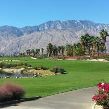 escena golf