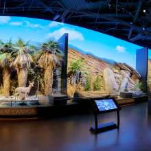 Agua Caliente Cultural Museum