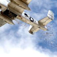 Plane dropping roses on Memorial Day