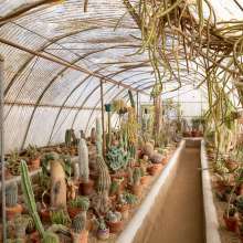 Moorton Botanical Garden Interior