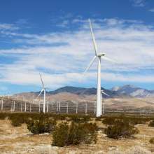 Windmill Tour